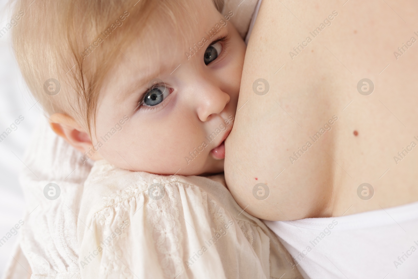 Mother breastfeeding her cute little baby, closeup Photo of Mother breastfeeding her cute little baby, closeup