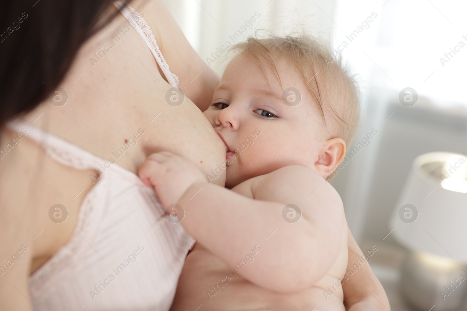 Mother breastfeeding her cute little baby indoors, closeup Photo of Mother breastfeeding her cute little baby indoors, closeup