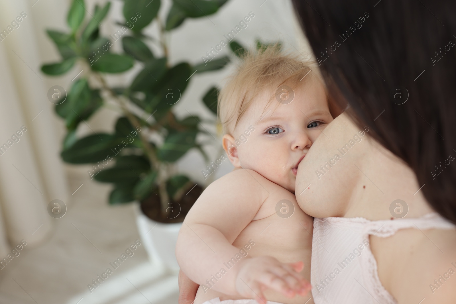 Mother breastfeeding her cute little baby indoors, closeup. Space for text Photo of Mother breastfeeding her cute little baby indoors, closeup. Space for text