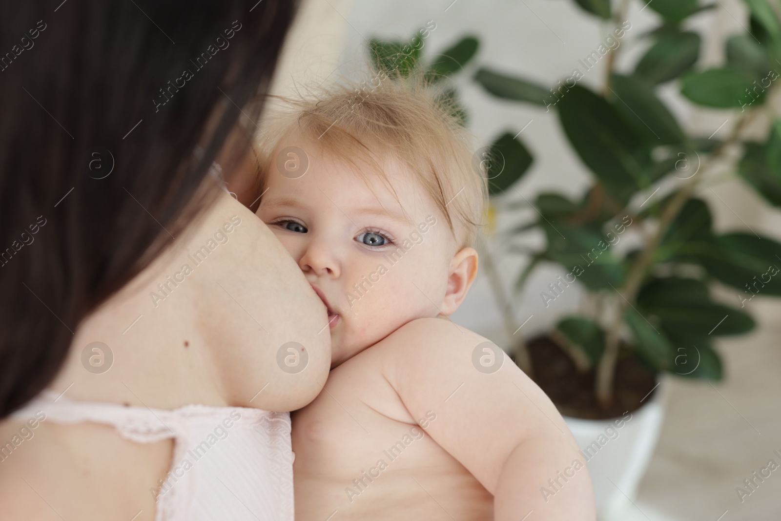 Mother breastfeeding her cute little baby indoors, closeup. Space for text Photo of Mother breastfeeding her cute little baby indoors, closeup. Space for text