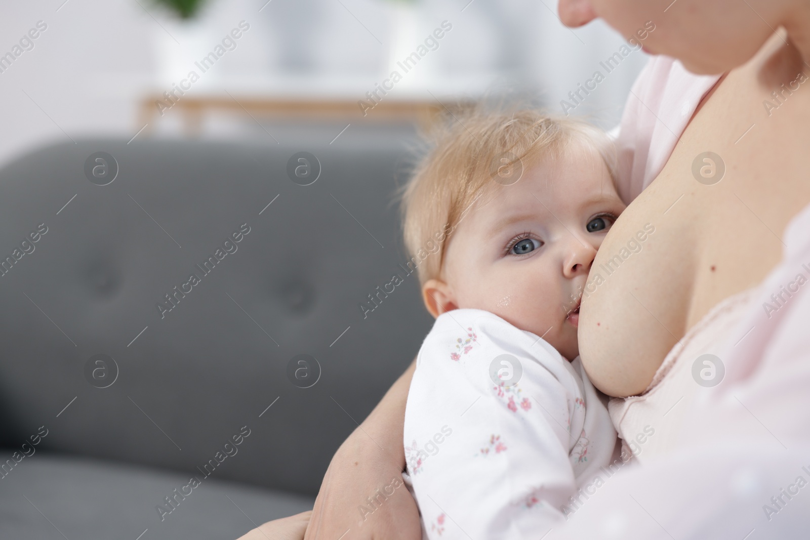 Mother breastfeeding her little baby indoors, closeup. Space for text Photo of Mother breastfeeding her little baby indoors, closeup. Space for text