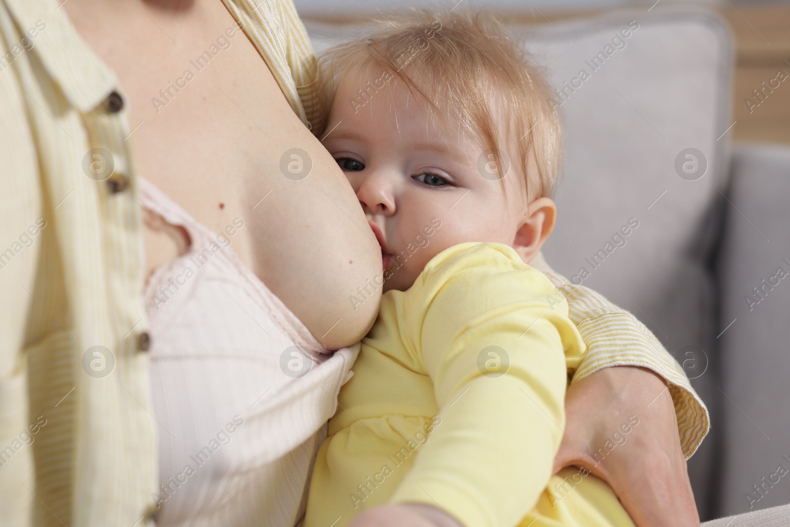 Mother breastfeeding her little baby on sofa indoors, closeup Photo of Mother breastfeeding her little baby on sofa indoors, closeup
