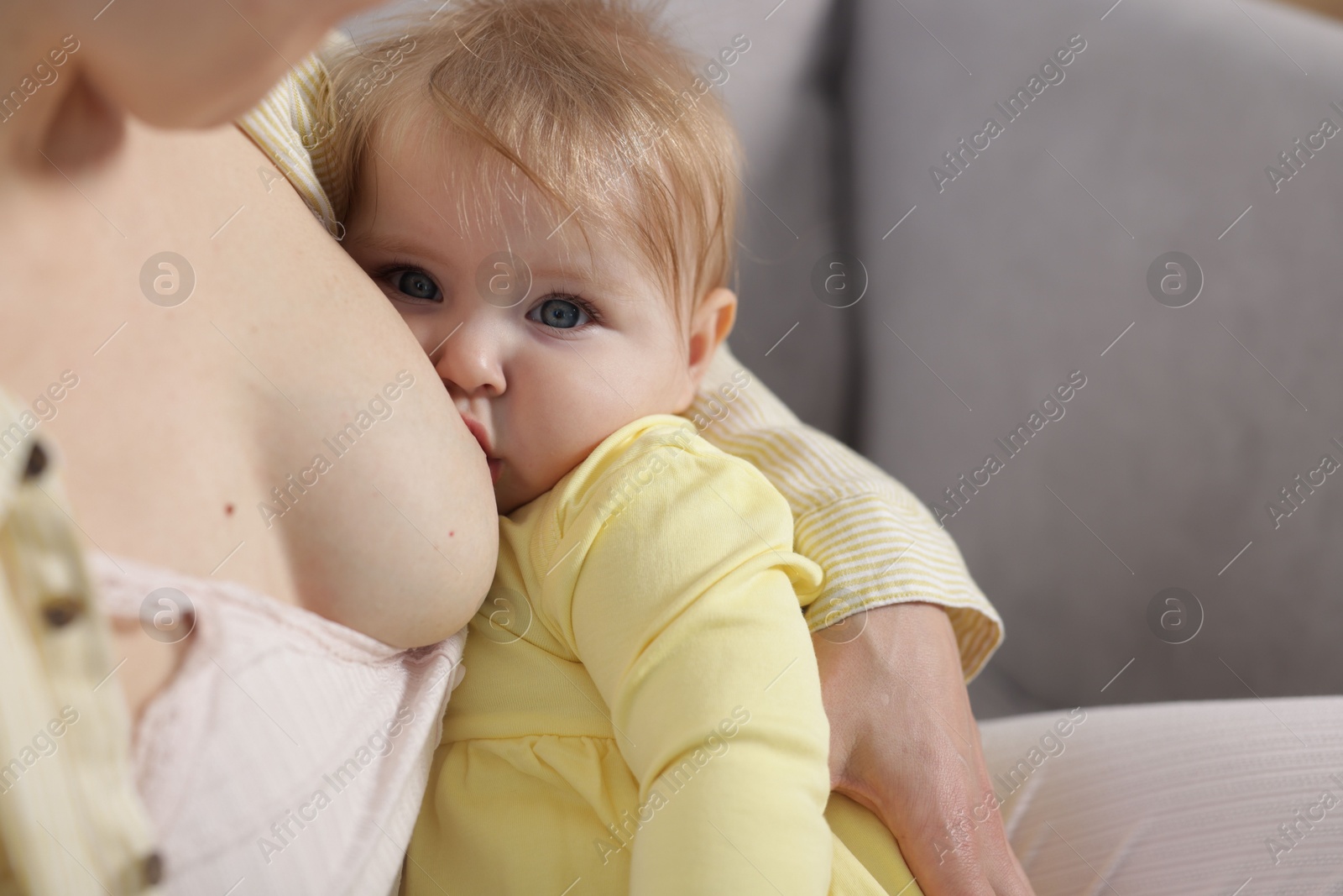 Mother breastfeeding her cute little baby indoors, closeup Photo of Mother breastfeeding her cute little baby indoors, closeup
