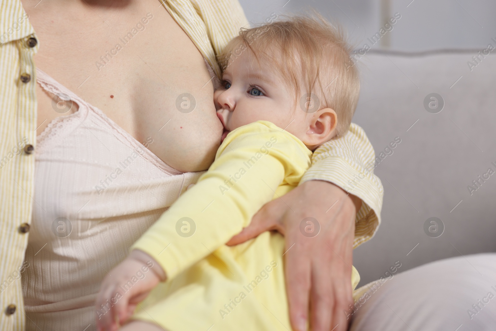 Mother breastfeeding her little baby on sofa indoors, closeup Photo of Mother breastfeeding her little baby on sofa indoors, closeup