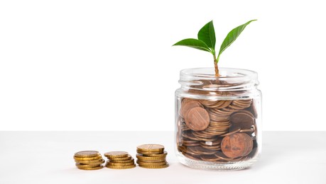 Photo of Investment concept. Glass jar with coins and sprout on light background, space for text
