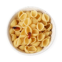 Photo of Cockroaches crawling on pasta in bowl against white background, top view