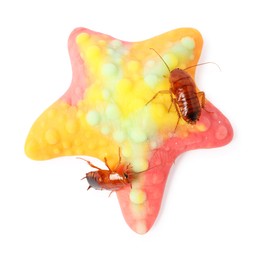 Photo of Cockroaches crawling on gummy candy against white background, top view