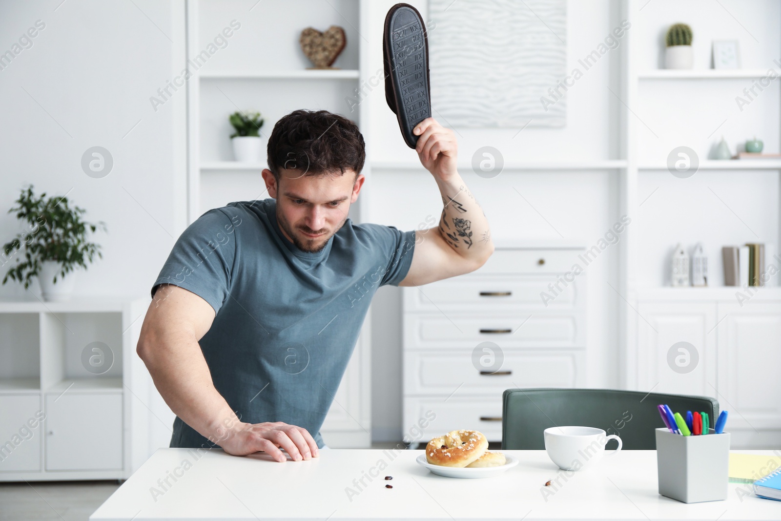 Emotional young man killing cockroaches with slipper at white table indoors. Pest problem Photo of Emotional young man killing cockroaches with slipper at white table indoors. Pest problem