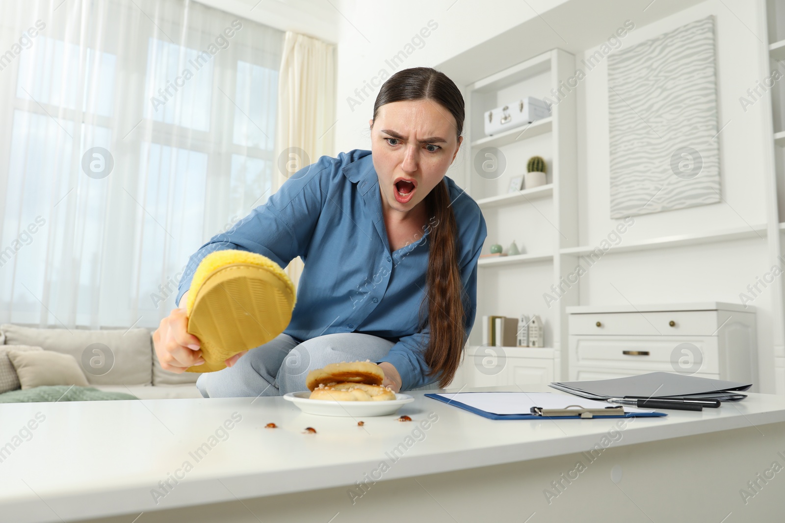 Young woman killing cockroaches with slipper on white table indoors, low angle view. Pest problem Photo of Young woman killing cockroaches with slipper on white table indoors, low angle view. Pest problem