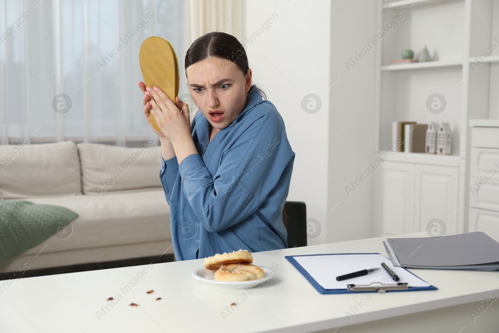 Emotional young woman with slipper looking in disgust at cockroaches indoors. Pest problem Photo of Emotional young woman with slipper looking in disgust at cockroaches indoors. Pest problem