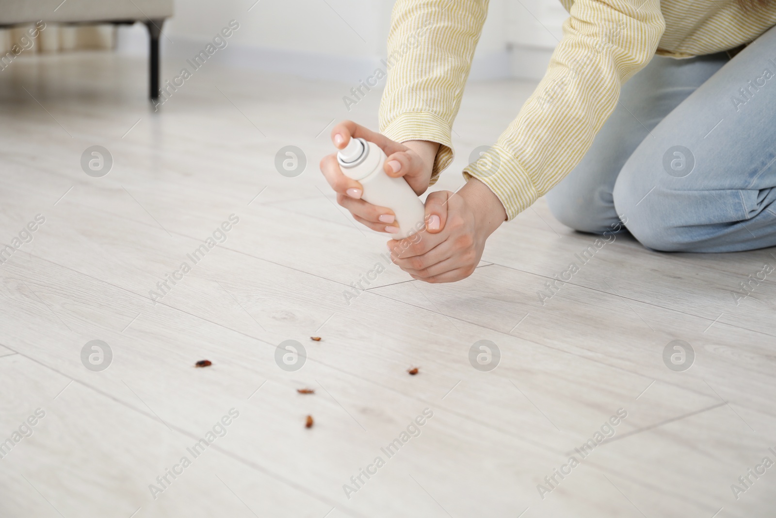 Photo of Young woman spraying insecticide onto cockroaches on floor at home, closeup. Pest problem