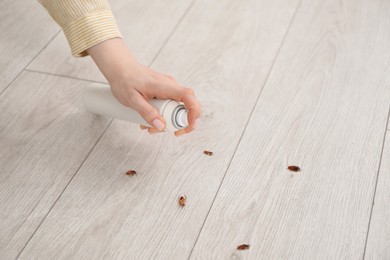 Photo of Young woman spraying insecticide onto cockroaches on floor at home, closeup. Pest problem
