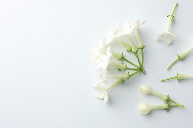 Photo of Beautiful jasmine flowers on white background, flat lay. Space for text