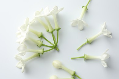 Photo of Beautiful jasmine flowers on white background, flat lay