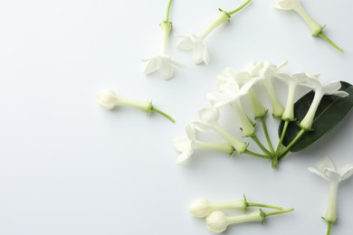 Photo of Beautiful jasmine flowers on white background, flat lay. Space for text