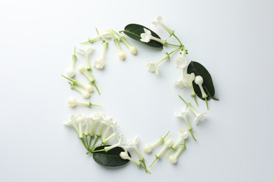 Photo of Frame made of beautiful jasmine flowers on white background, flat lay. Space for text