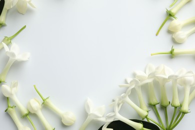 Photo of Frame made of beautiful jasmine flowers on white background, flat lay. Space for text