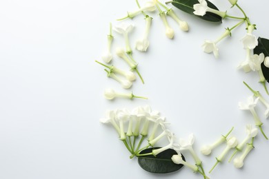 Photo of Frame made of beautiful jasmine flowers on white background, flat lay. Space for text