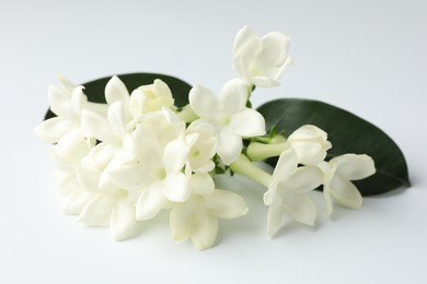 Photo of Beautiful jasmine flowers on white background, closeup