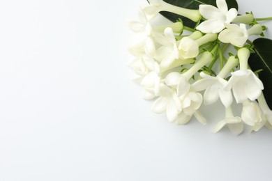 Photo of Beautiful jasmine flowers on white background, flat lay. Space for text