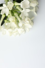 Photo of Beautiful jasmine flowers on white background, flat lay. Space for text