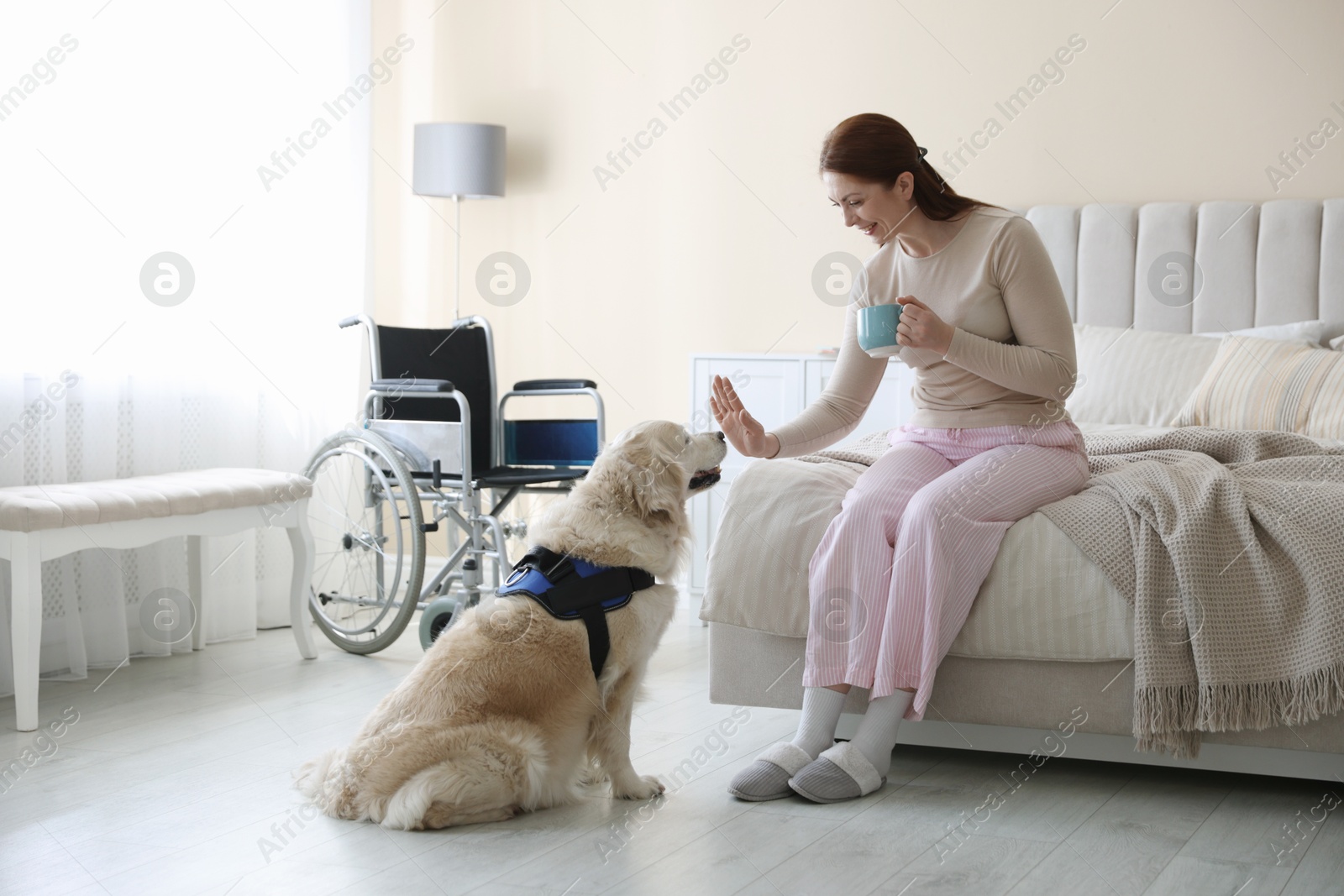 Woman with disability and her service dog at home Photo of Woman with disability and her service dog at home