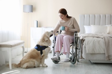 Photo of Woman in wheelchair with her service dog at home