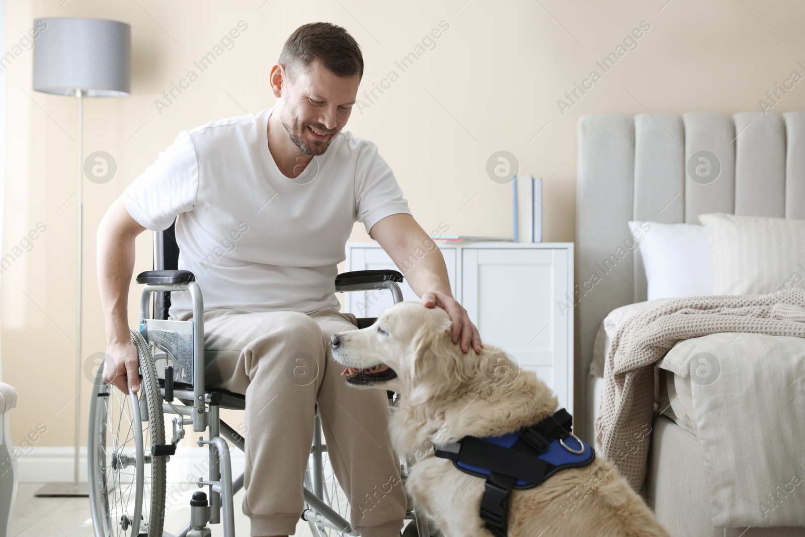 Man in wheelchair with his service dog at home Photo of Man in wheelchair with his service dog at home