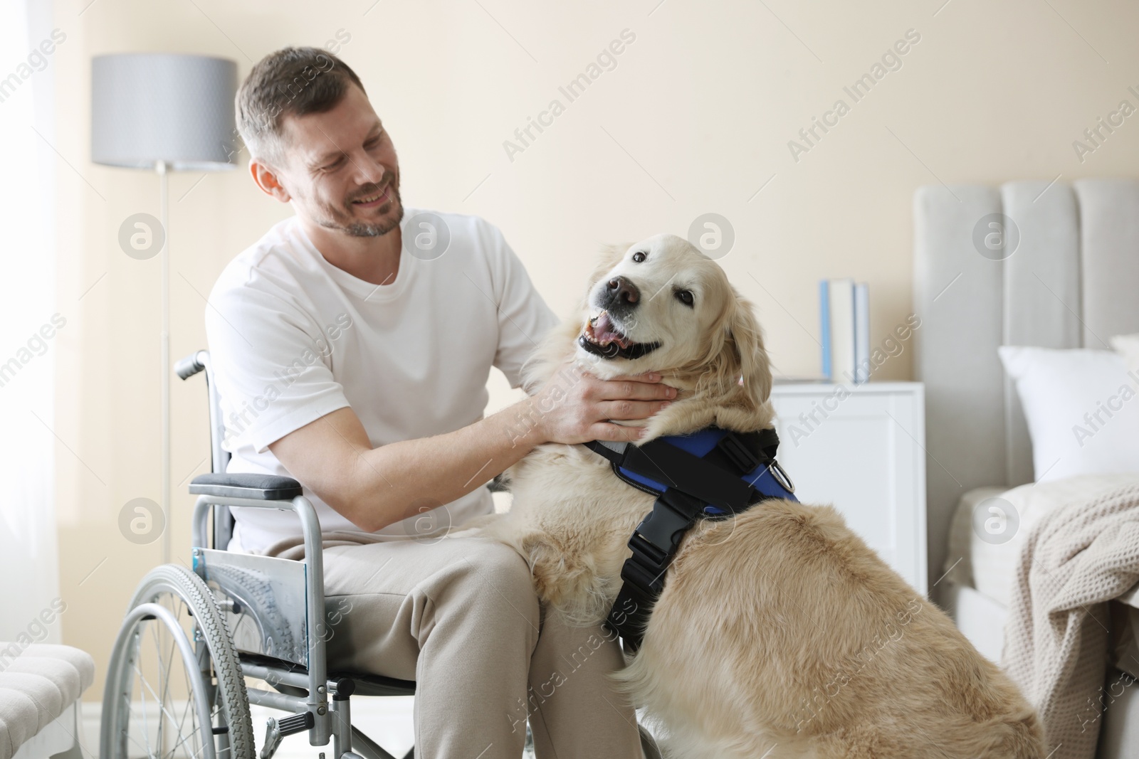 Photo of Man in wheelchair with his service dog at home