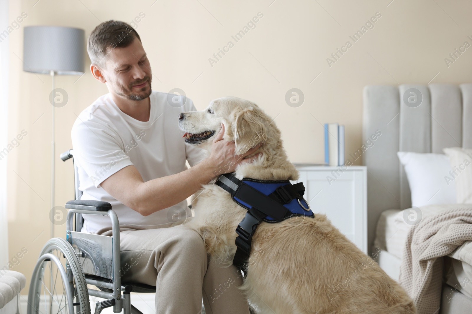 Photo of Man in wheelchair with his service dog at home
