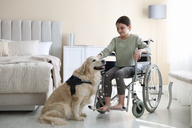 Photo of Girl in wheelchair with her service dog at home