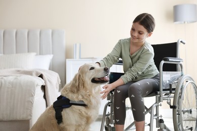 Photo of Girl in wheelchair with her service dog at home. Space for text