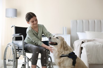 Photo of Girl in wheelchair with her service dog at home. Space for text