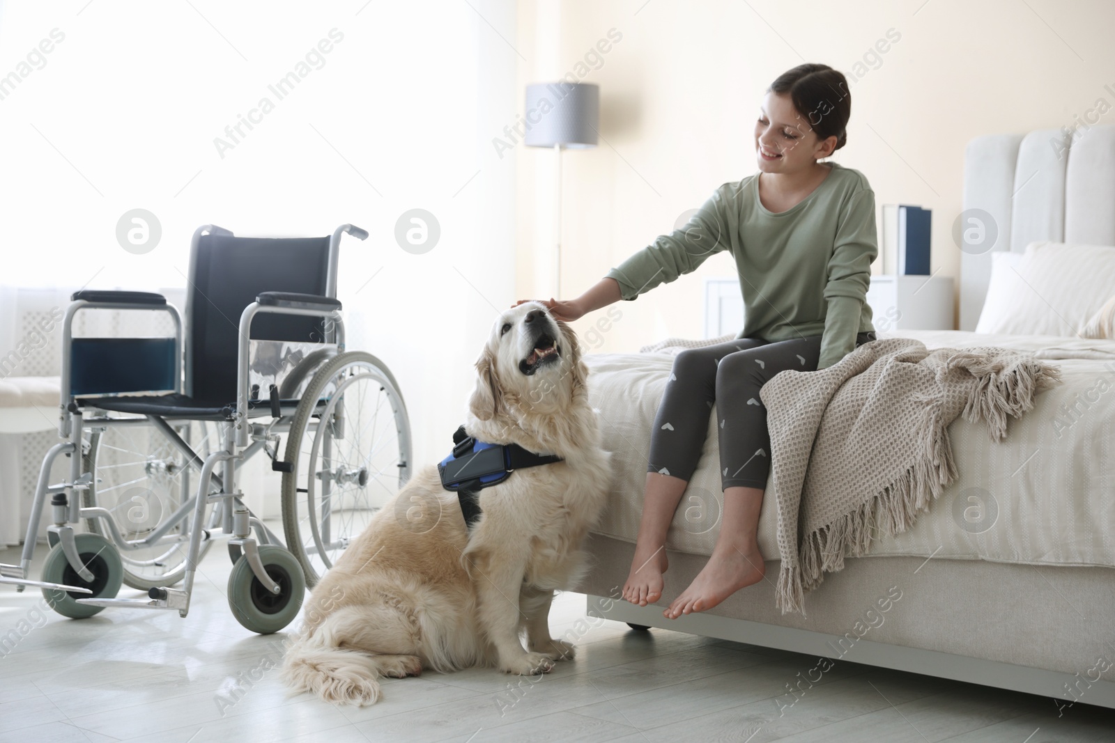 Girl with disability and her service dog at home Photo of Girl with disability and her service dog at home