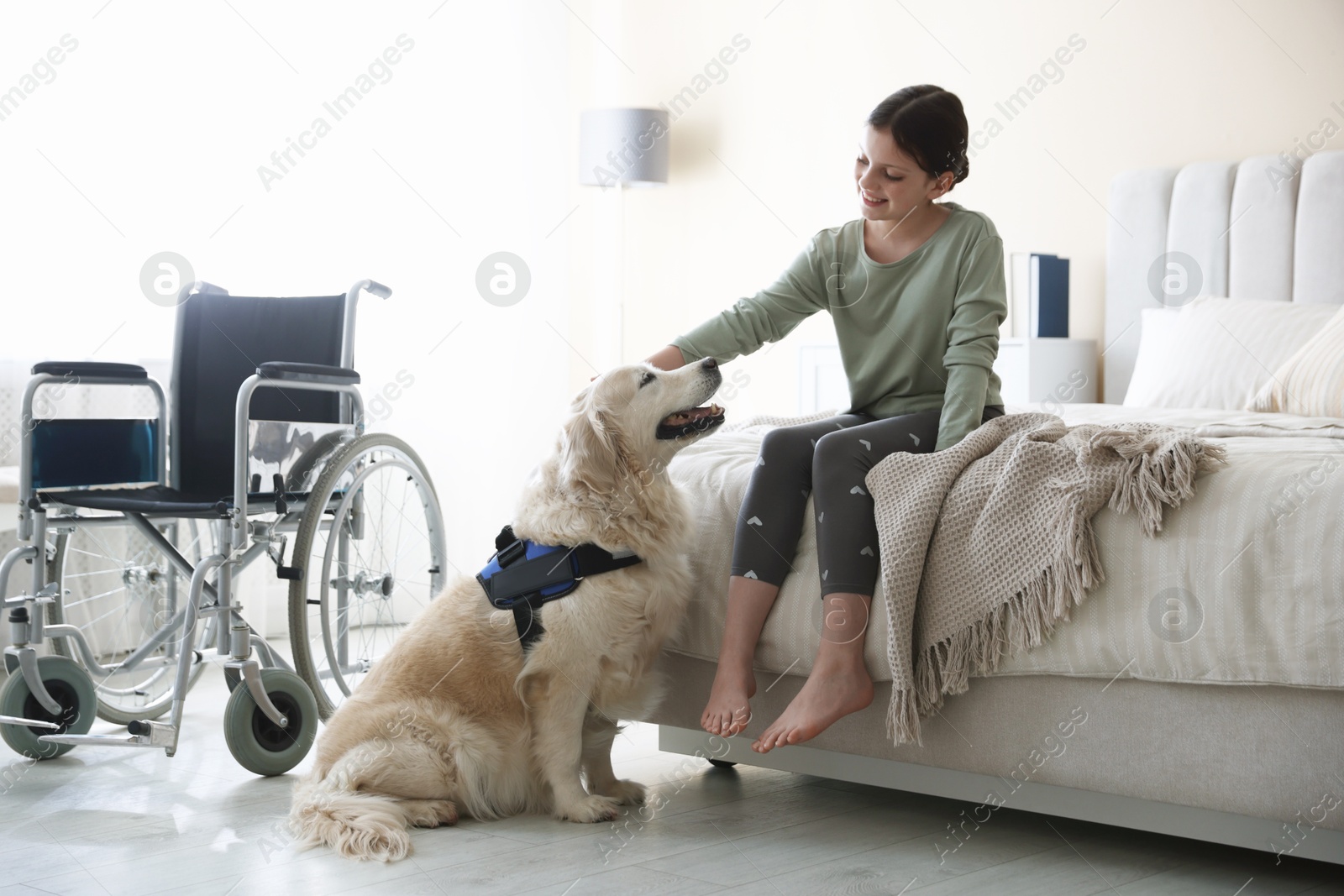 Girl with disability and her service dog at home Photo of Girl with disability and her service dog at home