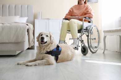 Photo of Service dog and woman in wheelchair at home, selective focus