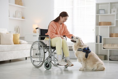 Photo of Woman in wheelchair with her service dog at home
