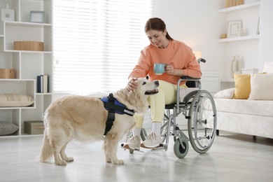Photo of Woman in wheelchair with her service dog at home