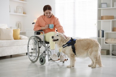 Photo of Woman in wheelchair with her service dog at home