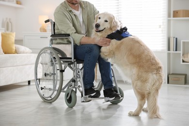 Photo of Man in wheelchair with his service dog at home, closeup