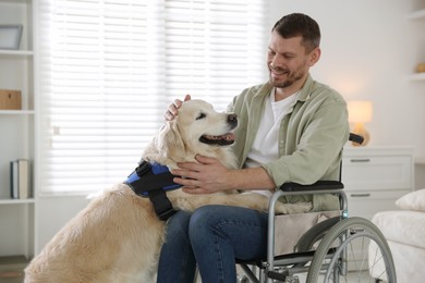 Photo of Man in wheelchair with his service dog at home. Space for text