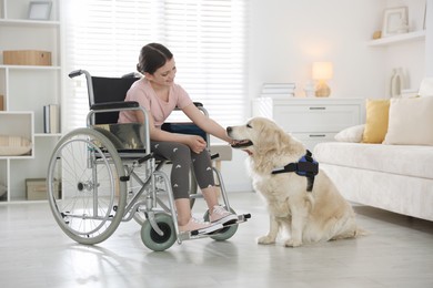Photo of Girl in wheelchair with her service dog at home. Space for text