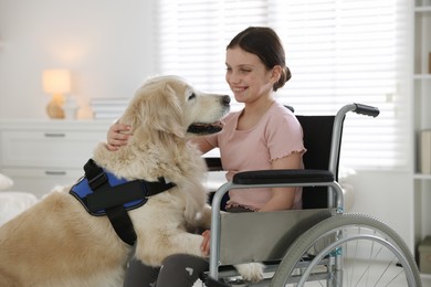 Photo of Girl in wheelchair with her service dog at home