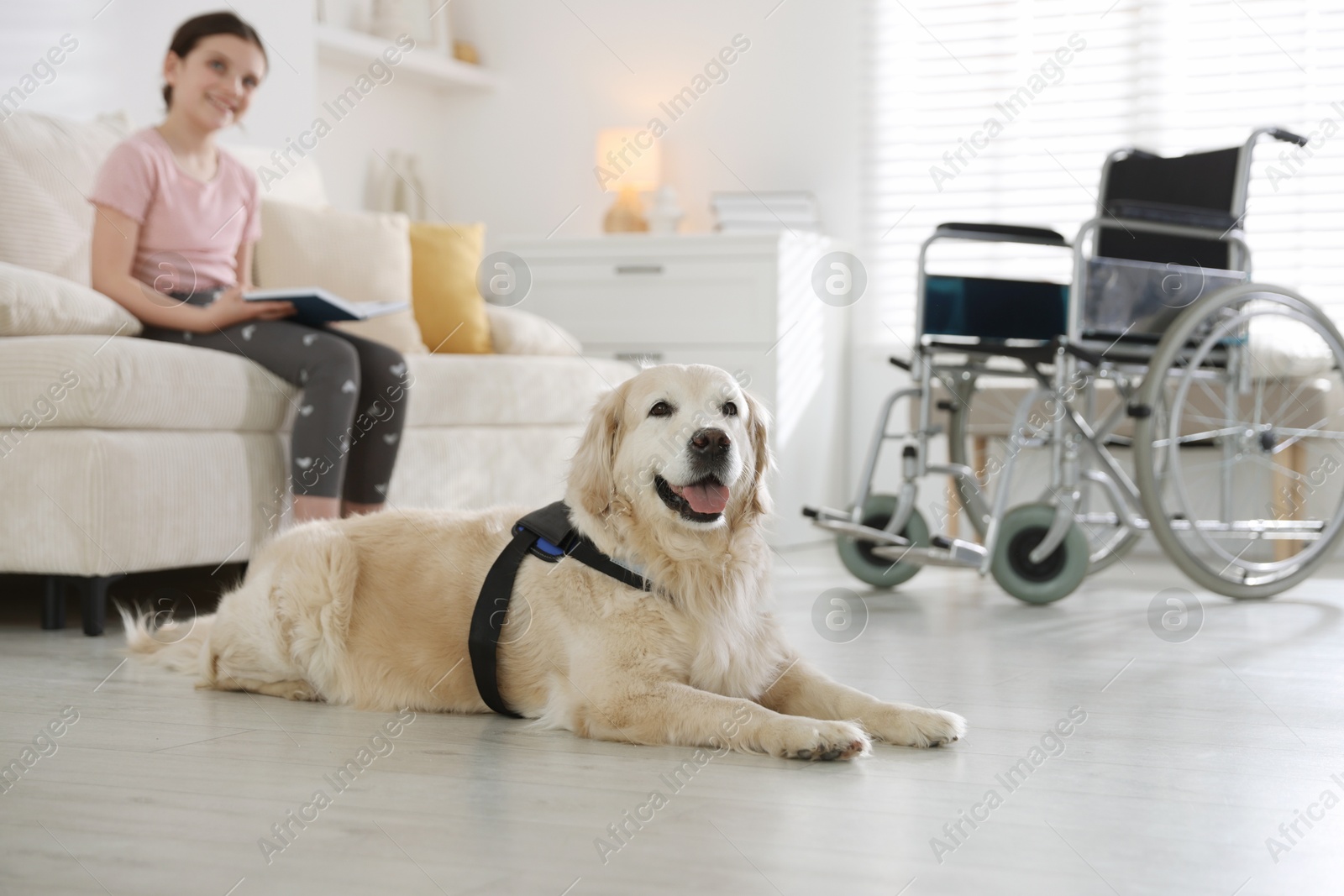 Photo of Girl with disability reading book and her service dog at home, selective focus