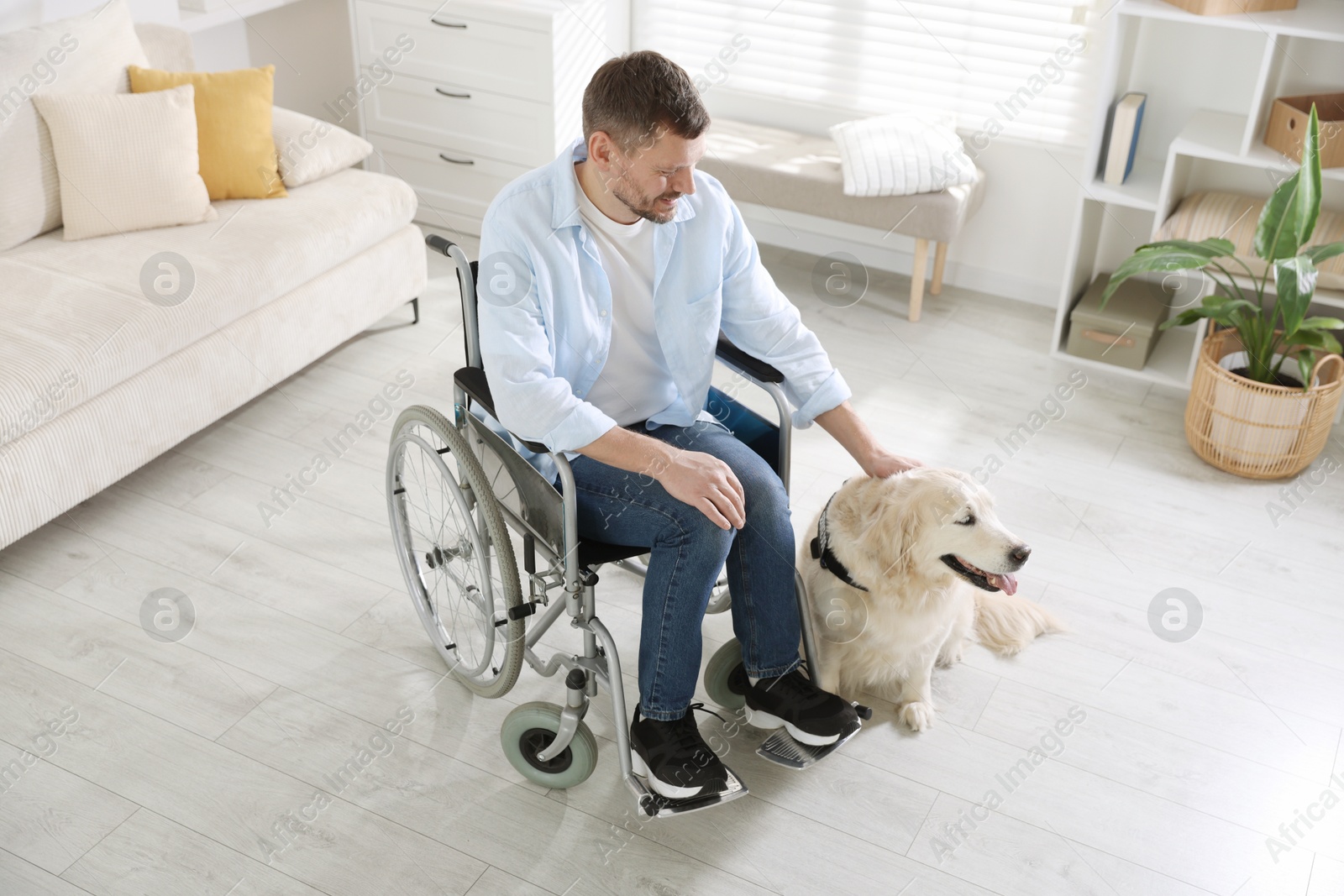 Photo of Man in wheelchair with his service dog at home, above view