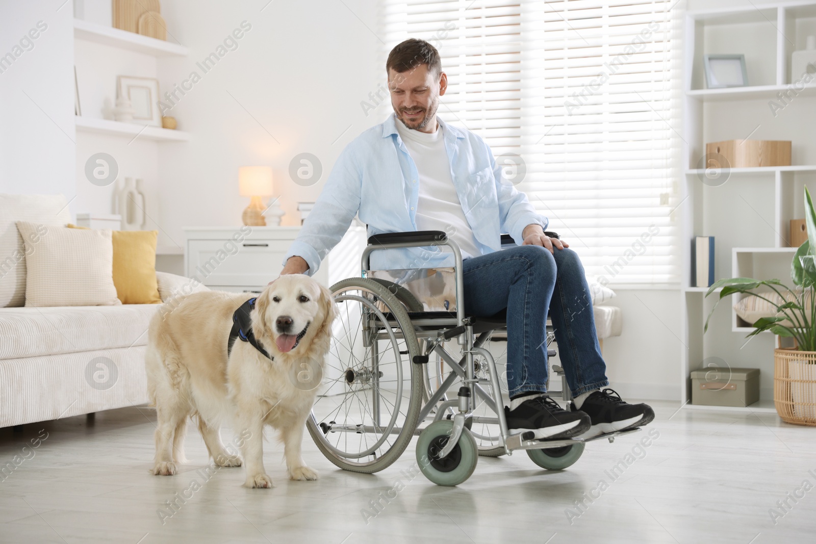 Photo of Man in wheelchair with his service dog at home