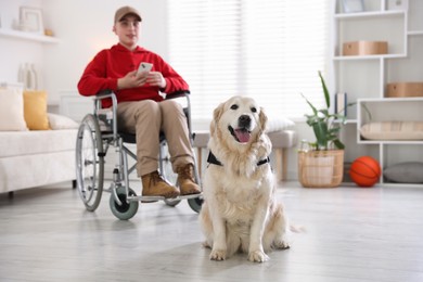 Photo of Service dog and boy in wheelchair at home, selective focus