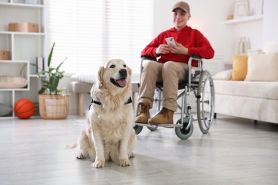 Photo of Service dog and boy in wheelchair at home, selective focus