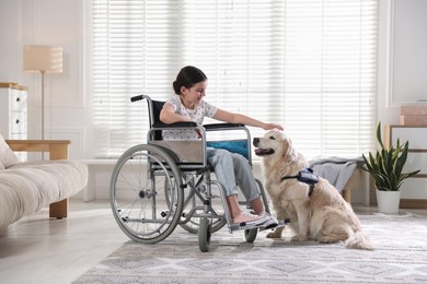 Photo of Girl in wheelchair with her service dog at home. Space for text