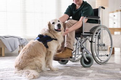 Photo of Teenage boy in wheelchair with his service dog at home, closeup